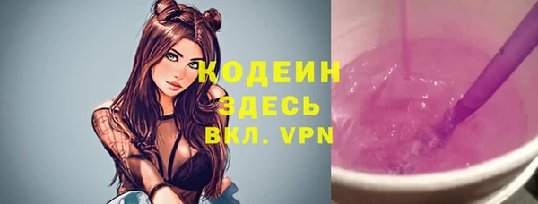 эйфоретик Вяземский