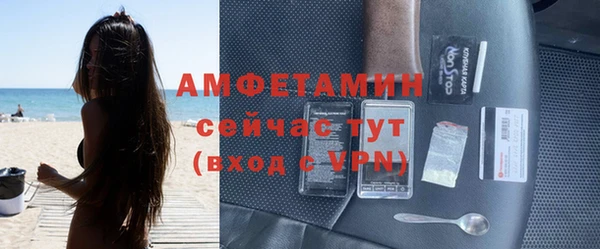 эйфоретик Вяземский