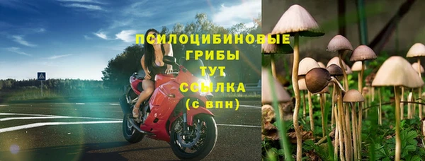 эйфоретик Вяземский