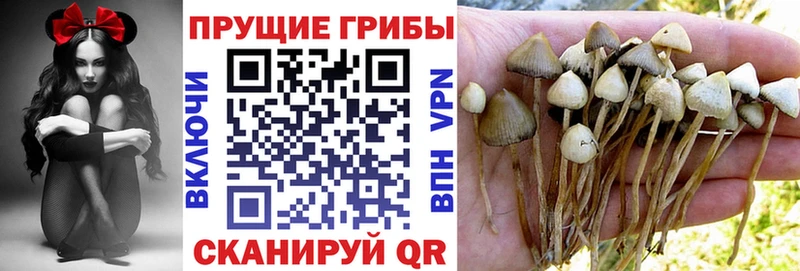 Псилоцибиновые грибы MAGIC MUSHROOMS  Чусовой 