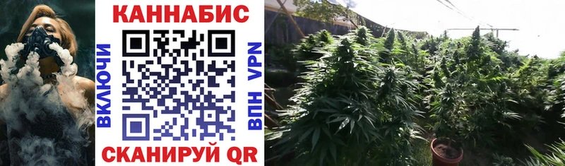 Бошки Шишки THC 21%  дарнет шоп  Чусовой 